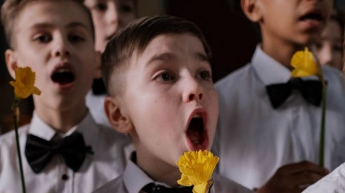 five forces boys choirs yellow flower smaller