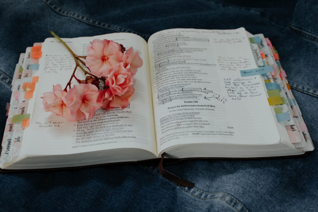 英語　ボキャブラリー　単語　学習　book flower lines post-it